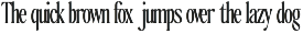 The Qualified Family (54 Fonts) preview
