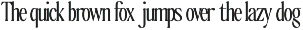 The Qualified Family (54 Fonts) preview