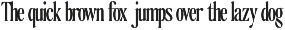 The Qualified Family (54 Fonts) preview