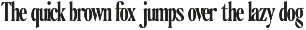 The Qualified Family (54 Fonts) preview