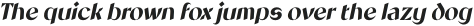 CS Kaison Italic otf (400) Sample