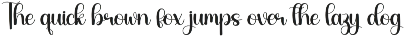 Bighome | Script Font preview