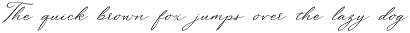 Lumina Modern Calligraphy Typeface preview