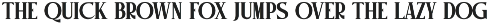 Milkin Elegant Serif Font preview