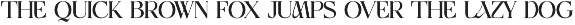 Magins Elegant Serif Font preview