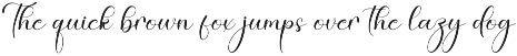 Awayday | Script Font preview