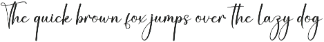 Birmingham | Script Font preview