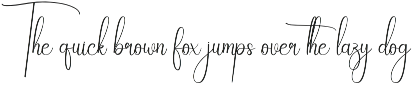 Wonderful | Script Font preview