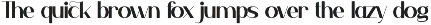 Ceora Naumy - Aesthetic Sans Serif preview