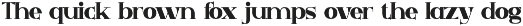 Yonex Avoid - Bold Serif Font preview
