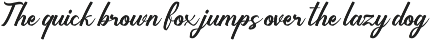 Holasky - Modern Script Font font preview