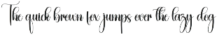 Amsterdam | Script Font preview