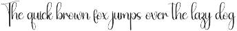 Starnight | Script Font preview