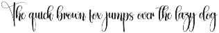 Vintage | Script Font preview