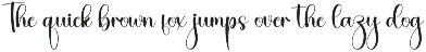 Wonderful | Script Font preview