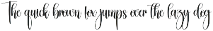 Birmigham | Script Font preview