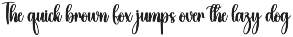 Bushy | Script Font preview