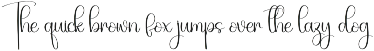 Stylish | Script Font preview
