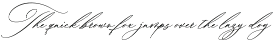 Aline Barton preview