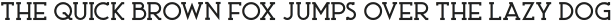 Ace Serif Medium otf (500)