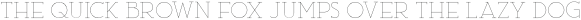 Ace Serif Thin otf (100)