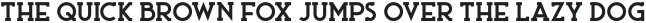 Ace Serif ExtraBold otf (700)
