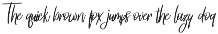 Heart Ticker Calligraphy Font preview