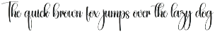 Anything | Script Font preview