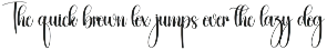 Homestay | Script Font preview