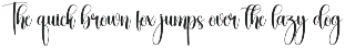 Vacation | Script Font preview