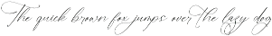 Herlina Aliyah Stylish Calligraphy preview