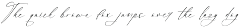 Ambition Master Stylish Signature preview