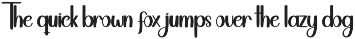 Midnight | Script Font preview