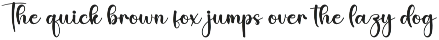 Night | Script Font preview