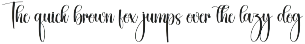 Water | Script Font preview