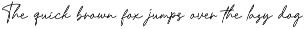 Bestone Signature preview