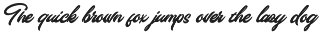 Tread Mill - A Lettering Script Font preview