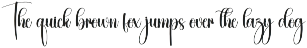 Autumn | Script Font preview
