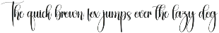 Boldy | Script Font preview