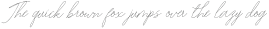 Washington ttf (400)