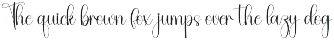Montage | Script Font preview