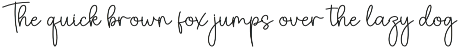 Sand Beach | Script Font preview