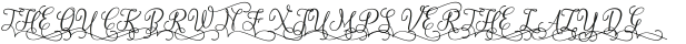 Marcella Script UPPERCASE_Swash ttf (400)