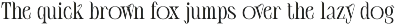 Ceyla 3D preview