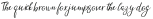 Summer Night Alt ttf (400)