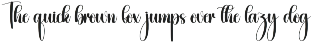 Outtime | Script Font preview
