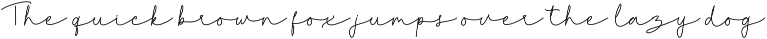 Alphabet Mono Duo font preview