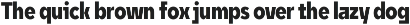 Unytour Display Pro preview