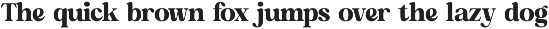 Artists Kindle Modern Serif Font preview