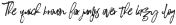Q?inn Wilmet Script Alternate 4 otf (400)
